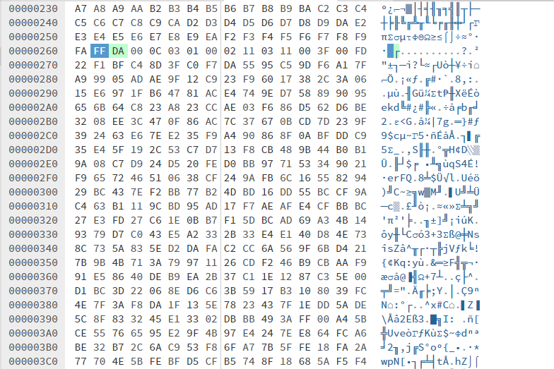 jpg in hex editor