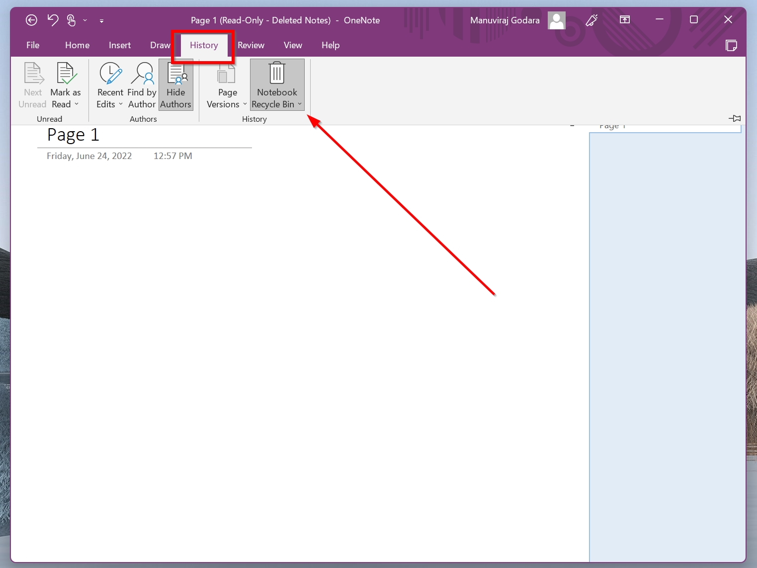 The Recycle Bin button in OneNote.