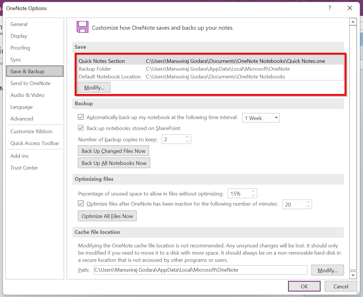 Save & Backup option in OneNote.