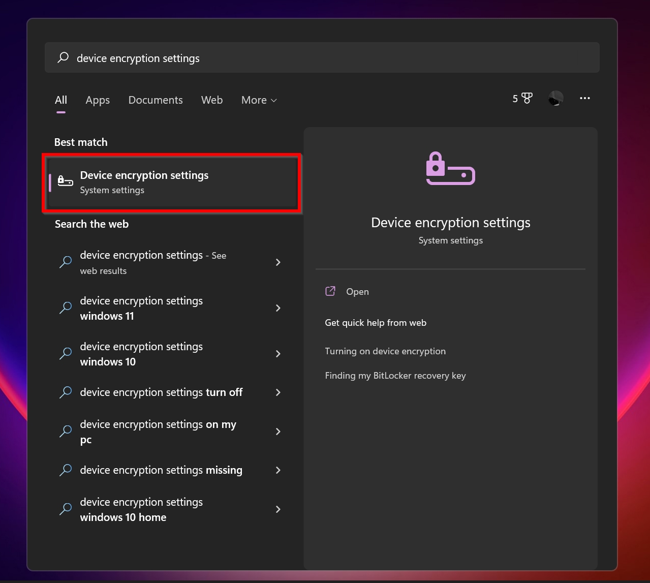 The Device Encryption option in Windows Search.