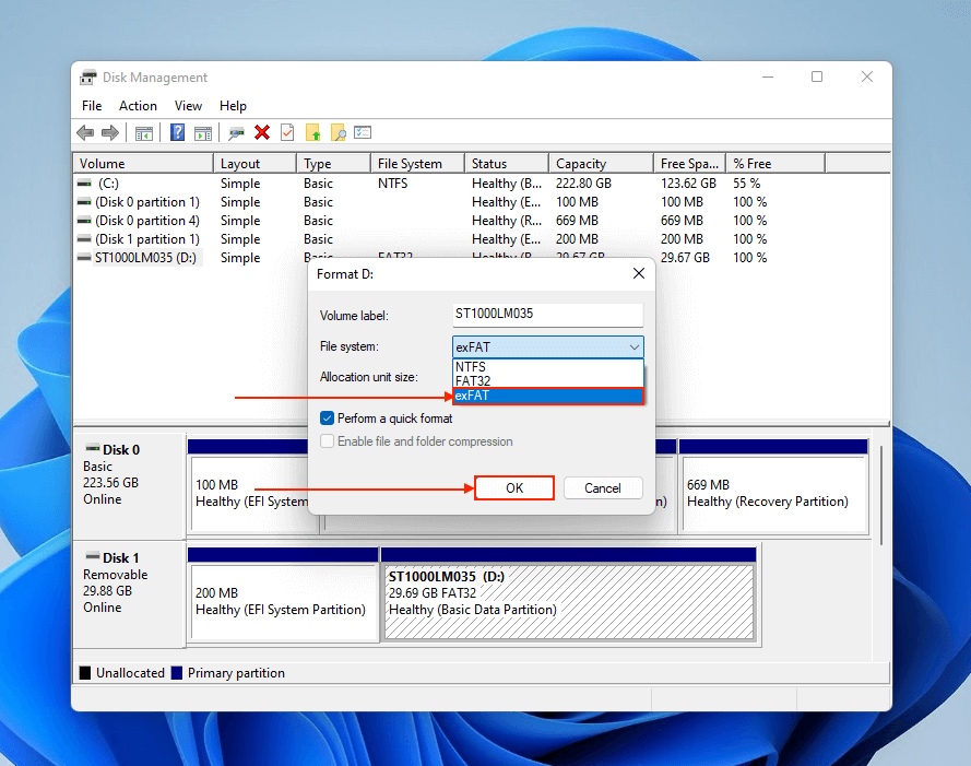 Format window in Disk Management