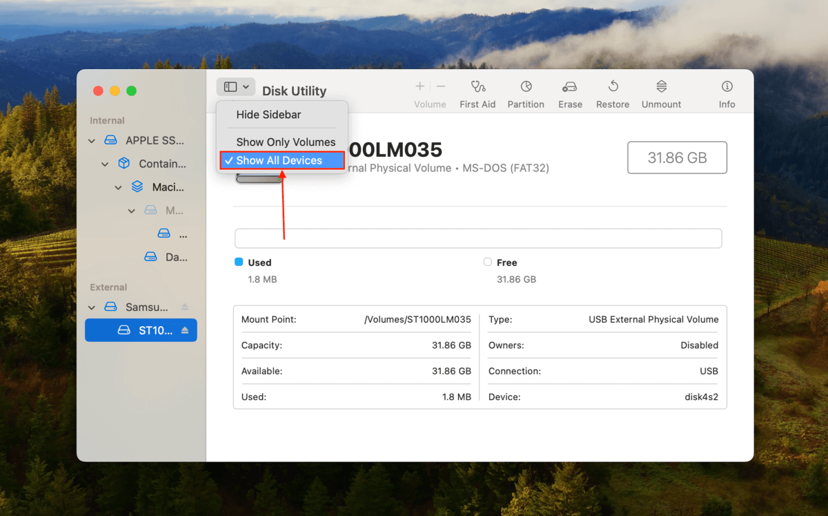 View settings in Disk Utility