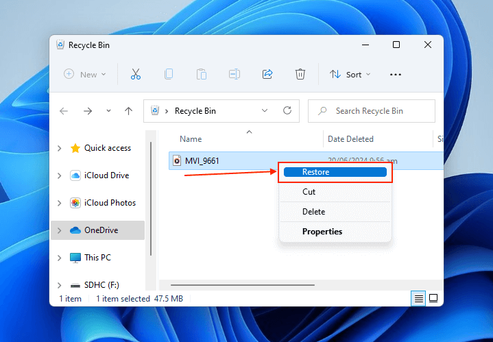 Restore file feature in Windows Recycle Bin