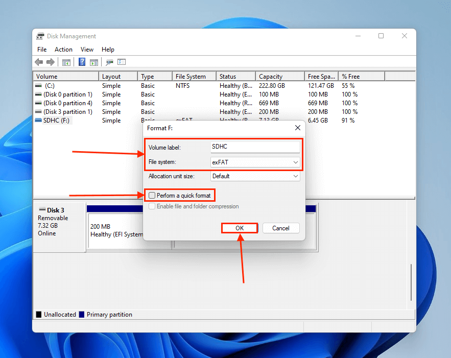 Format dialogue in Disk Management