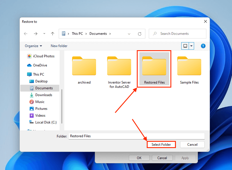 Folder selection dialogue for Previous Versions