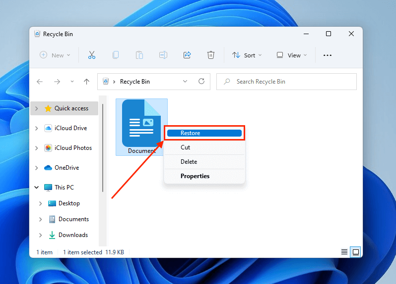 Recovering files in the Recycle Bin