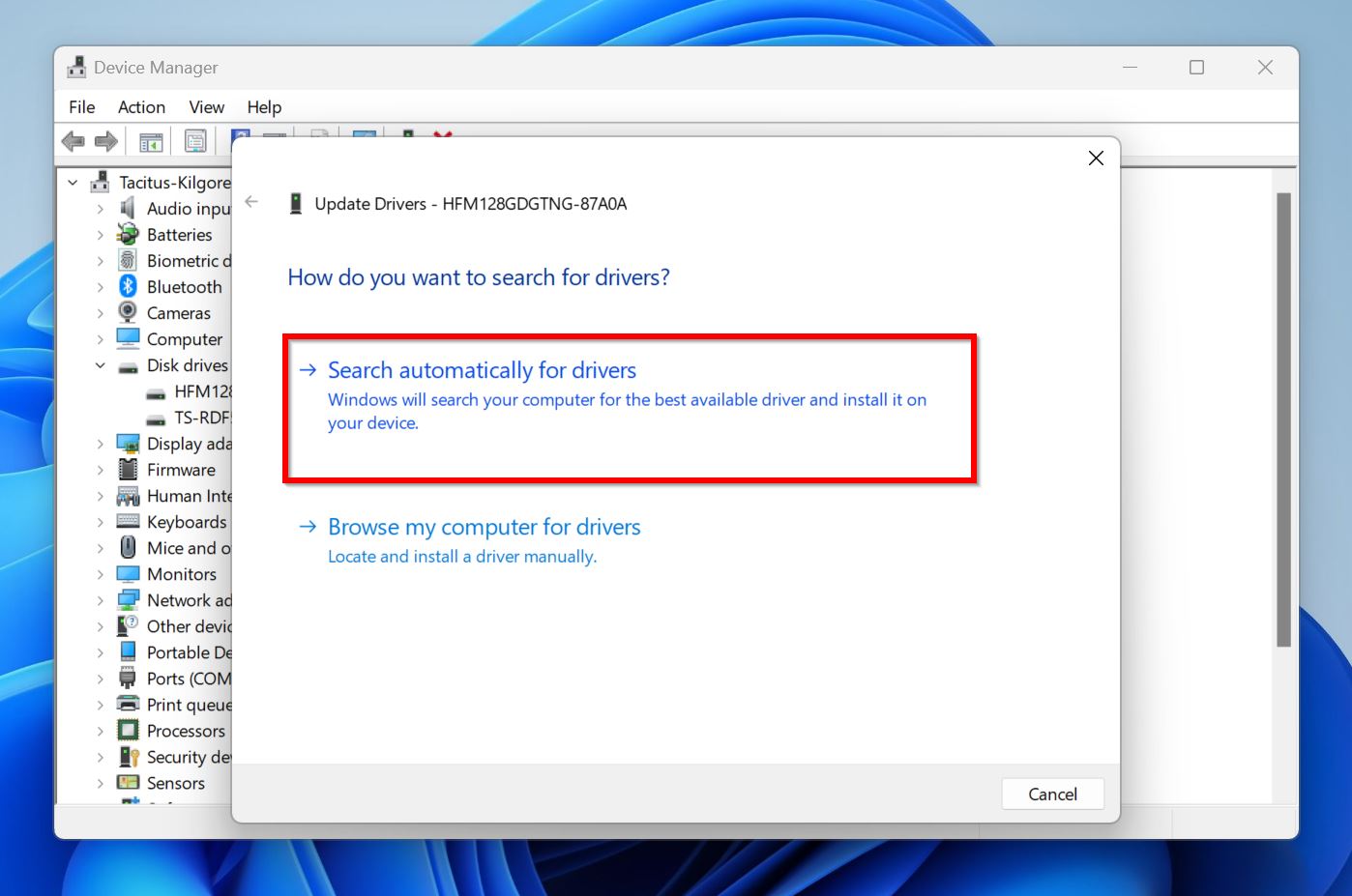 Screenshot of Device Manager in Windows showing the "Update Drivers dialog box.