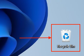 Recycle Bin icon on the Windows desktop