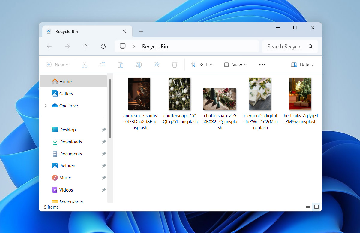 open recycle bin