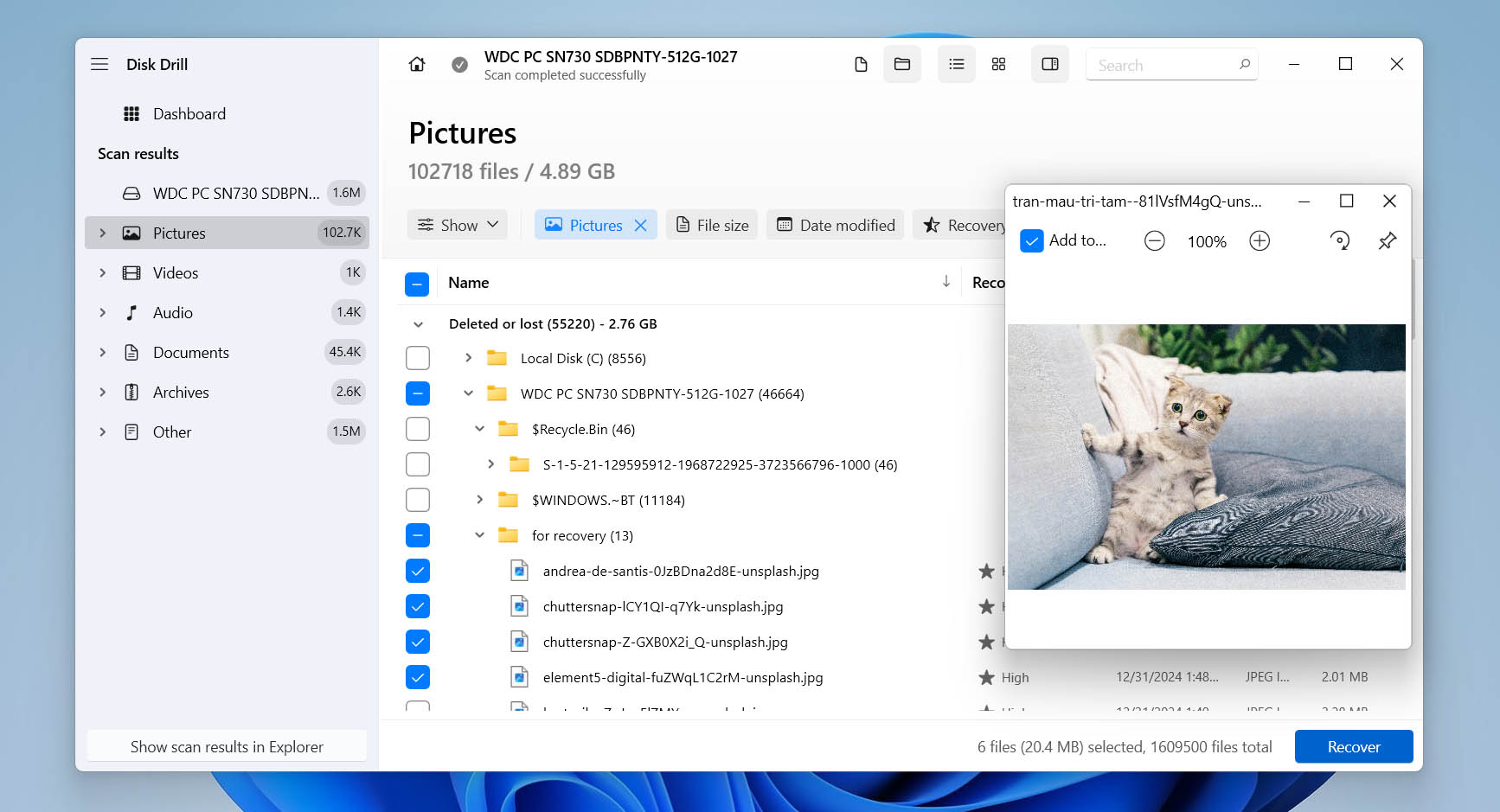 preview and select files for recovery