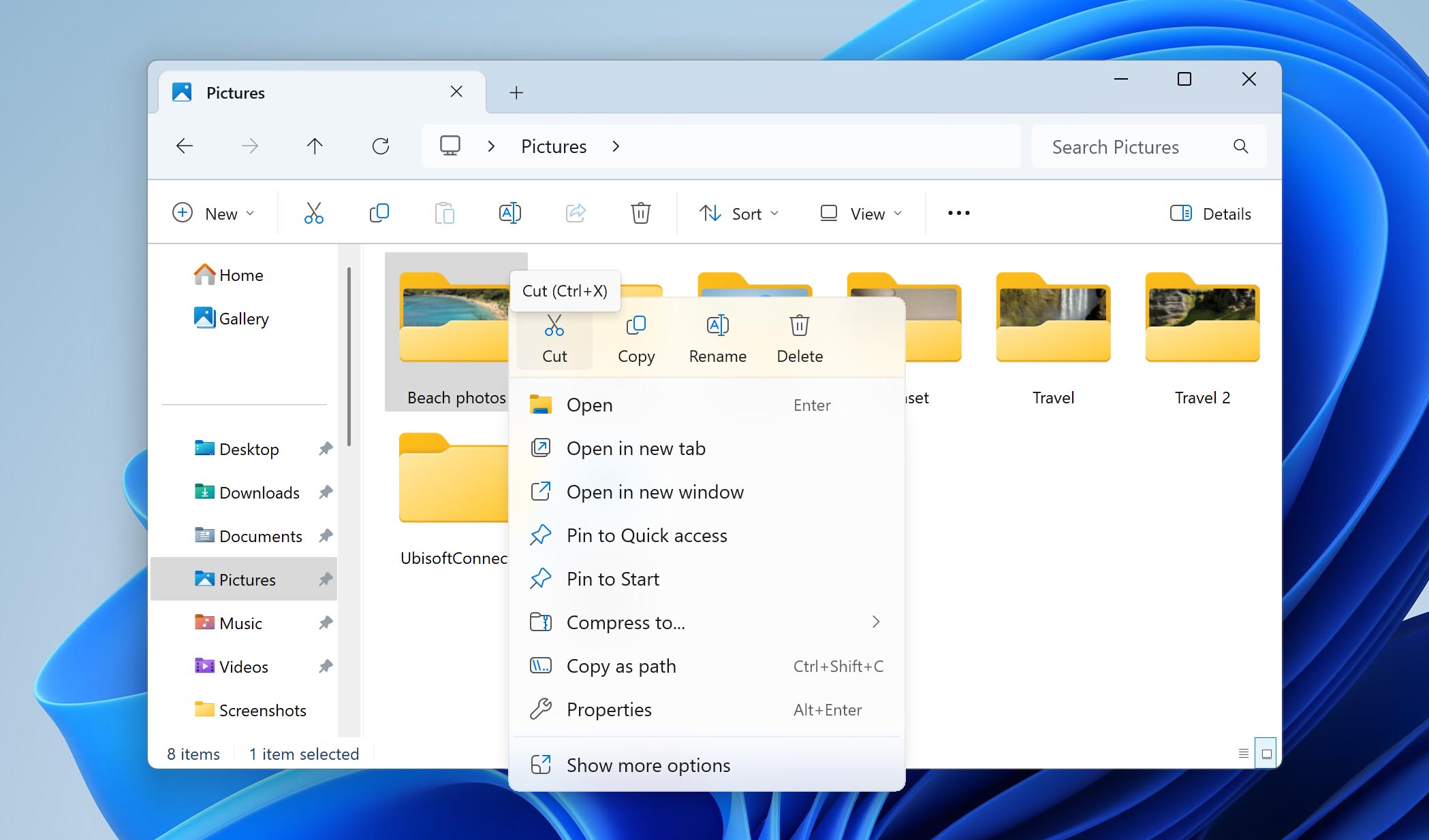 cut operation on Windows 11