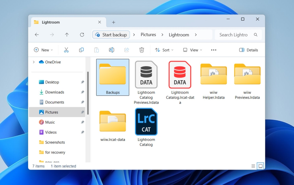 How to Restore Deleted Lightroom Catalog on Windows TOP Methods
