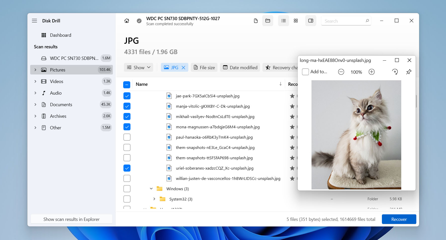 preview files in results