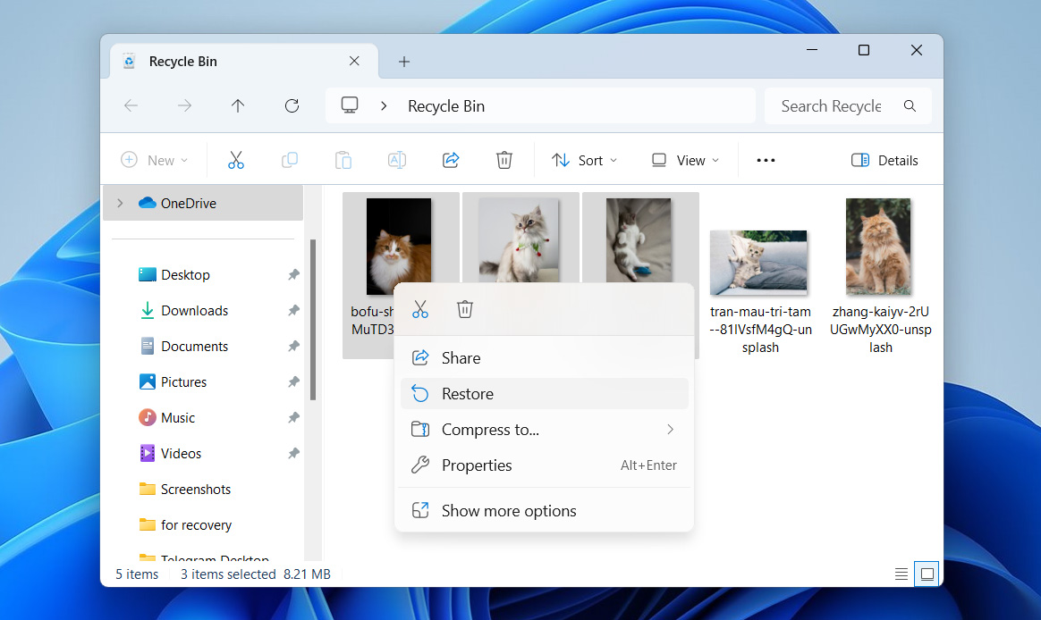 restore files from recycle bin