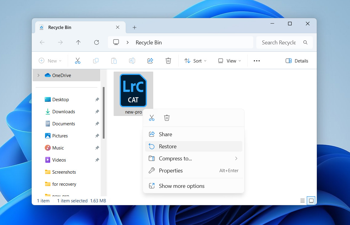 restore lightroom file from recycle bin