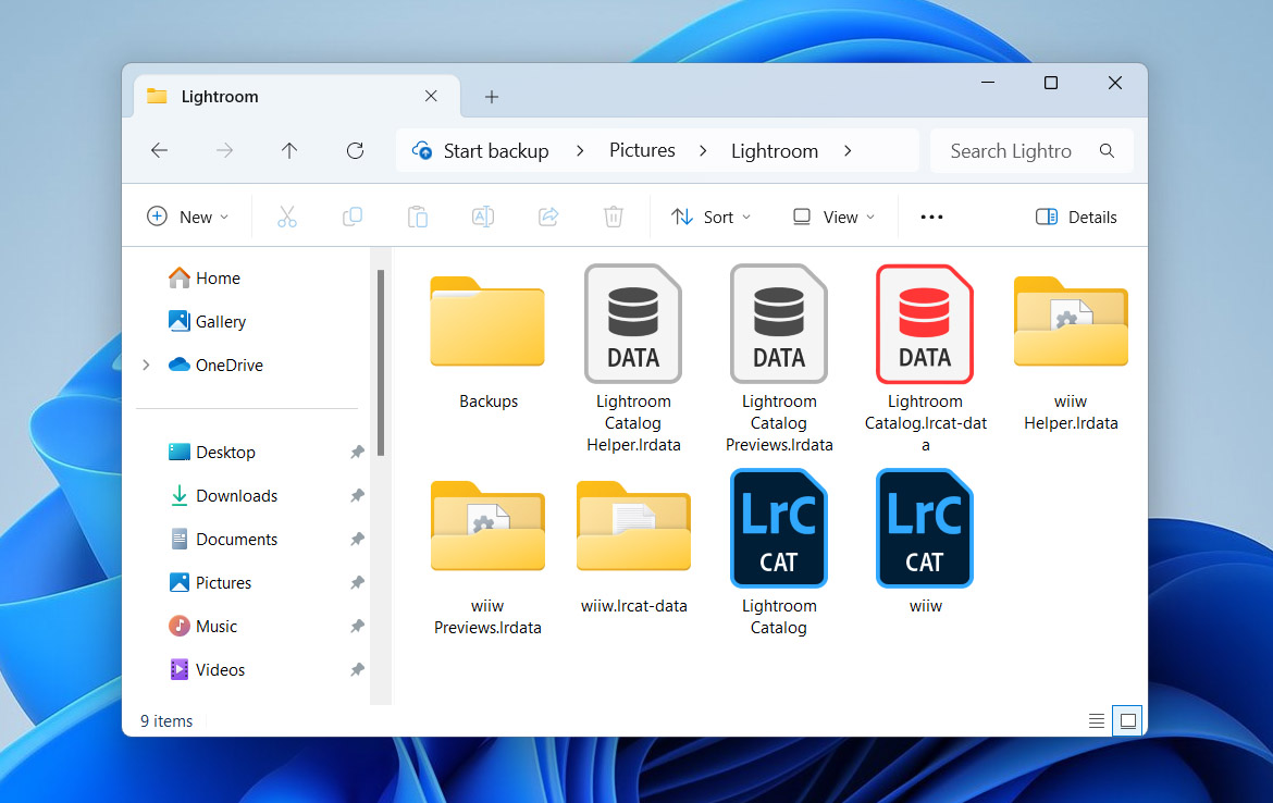 lightroom files