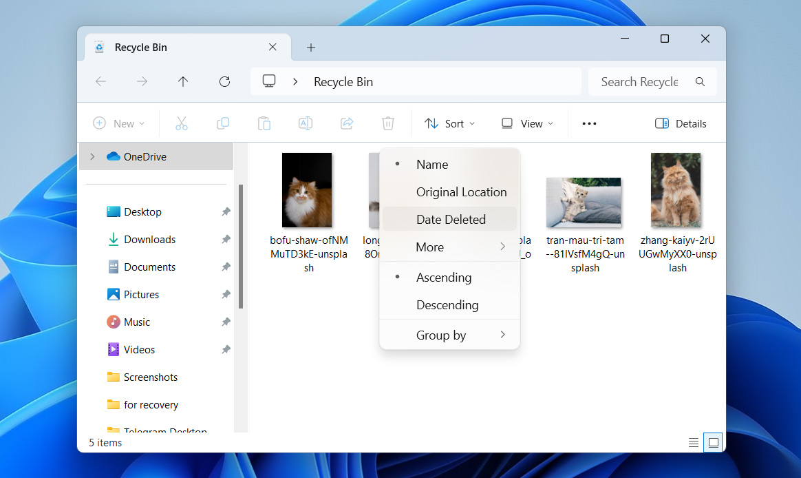 sort files in recycle bin