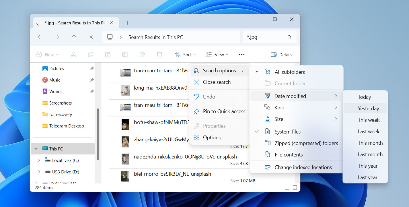 use search options on windows
