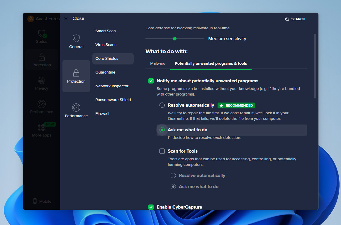 avast settings in core shield tab