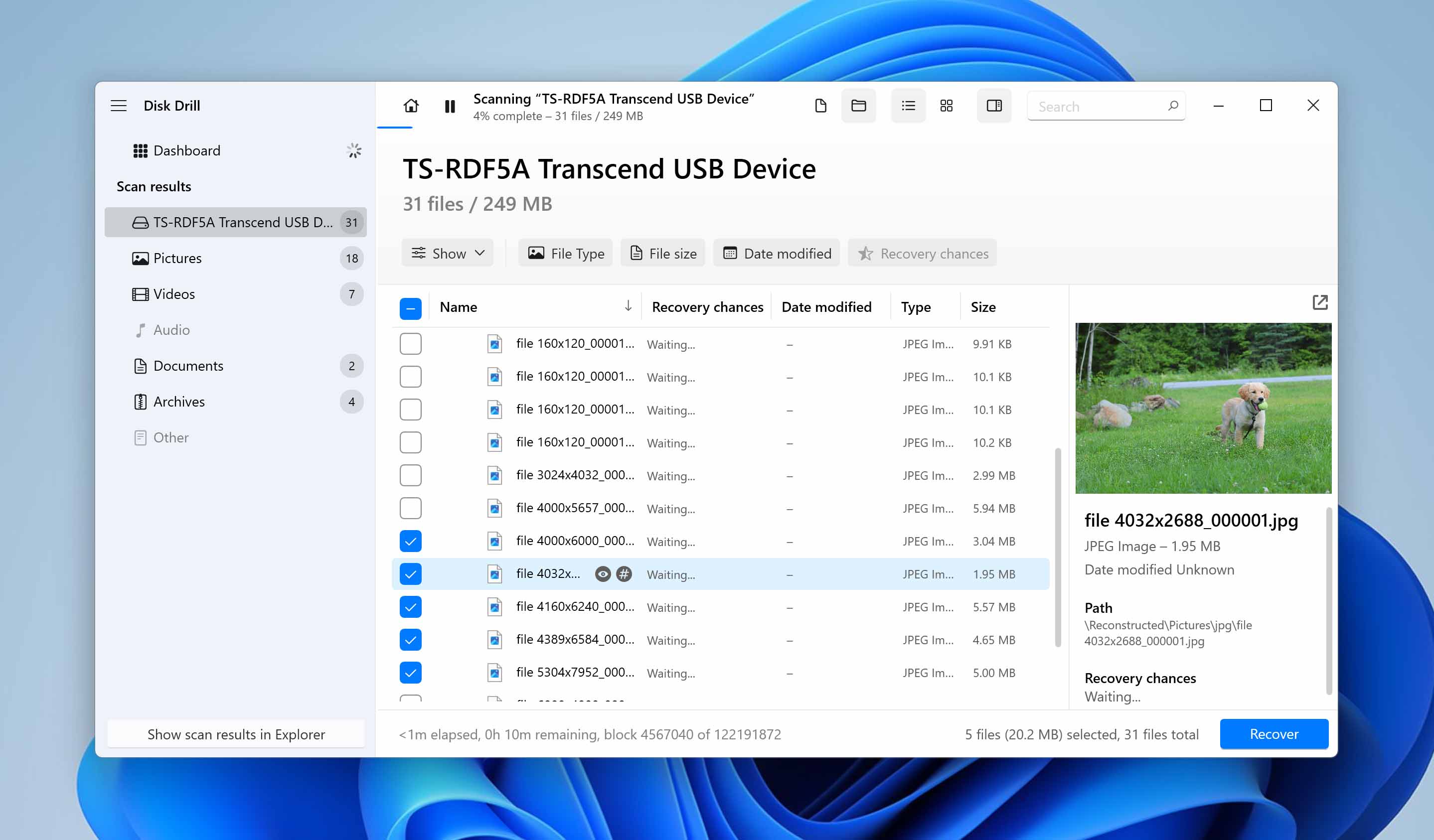 preview and select files for recovery